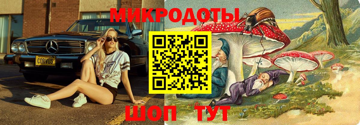 Галлюциногенные грибы MAGIC MUSHROOMS Видное